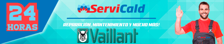 Reparacion de calderas Vaillant en Getafe