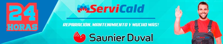 Reparacion de calderas Saunier Duval en Leganes