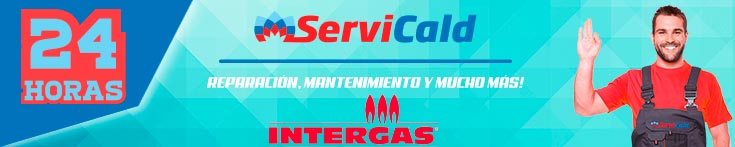 Reparación de calderas Intergas en Getafe